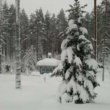 Кемпинг Elmon Village