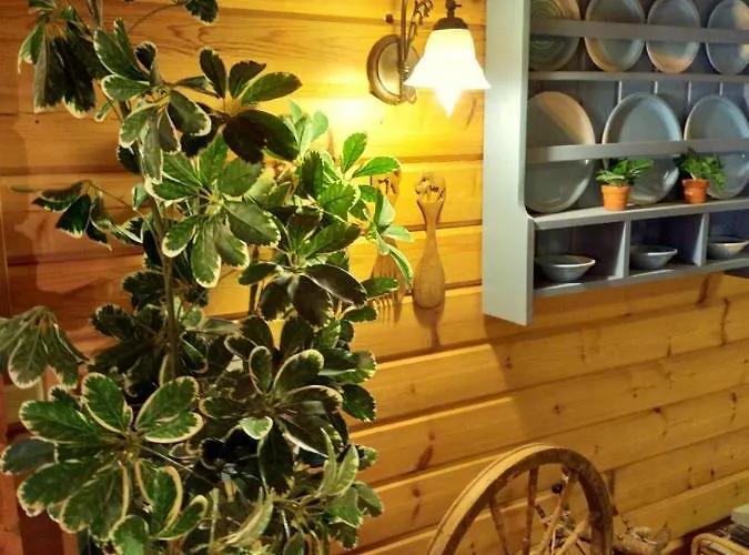 אתר קמפינג Elmon Village *