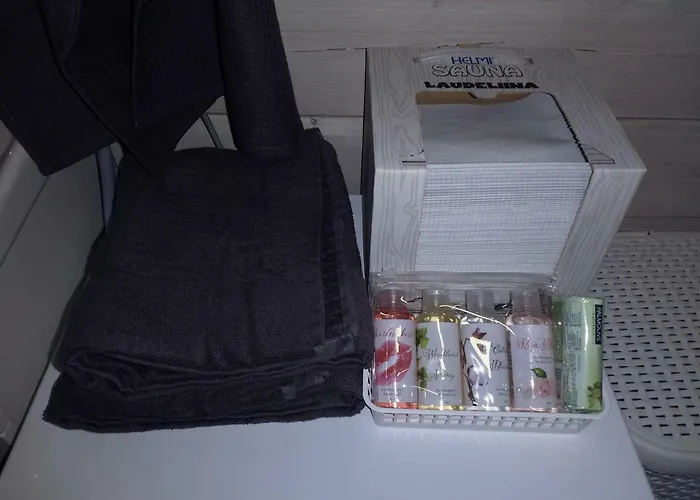 אתר קמפינג Elmon Village Sillanpaa